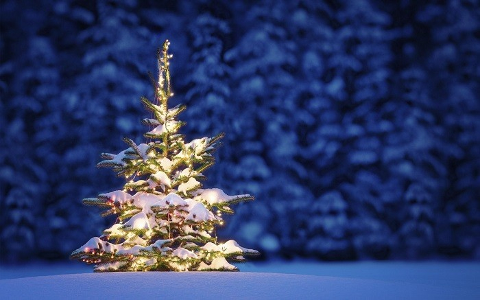 Extra Openingstijden KERST-periode Broekhuiswinkels